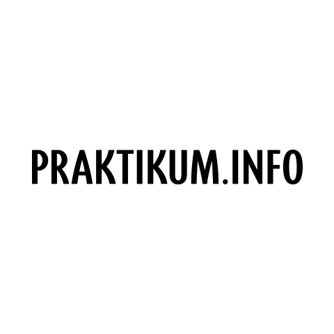 praktikum.info-logo
